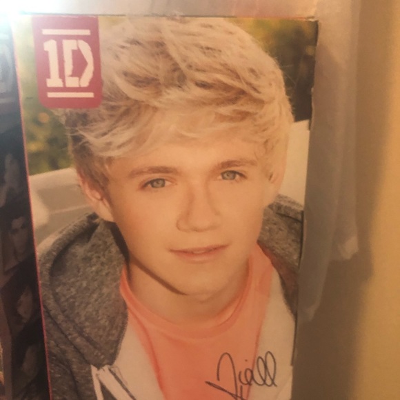 Hasbro Other - 1 New Direction Dolls.    8/2020